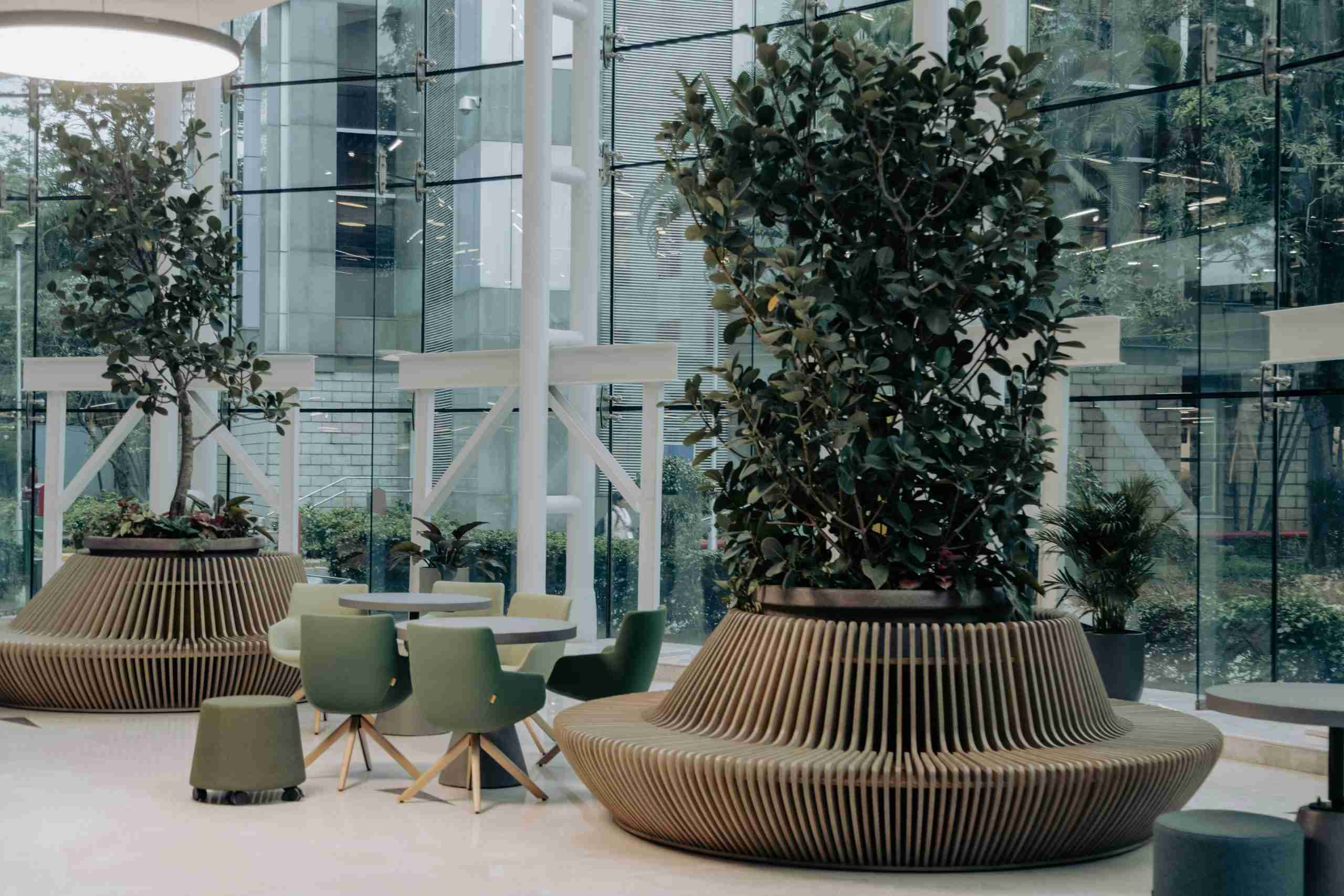 Modern indoor seating area with large round planters, green chairs around small tables, and tall glass windows providing a view of trees and buildings outside.